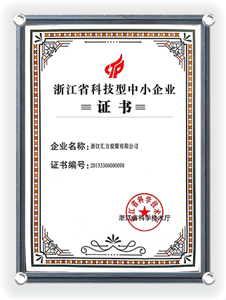 Certificaat voor Kleine en Middelgrote Ondernemingen in de Provincie Zhejiang Wetenschap en Technologie -1